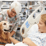 Animali in corsia: benefici e ritardi nei quadri normativi in Italia