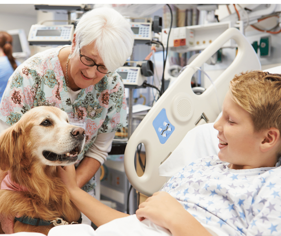 Animali in corsia: benefici e ritardi nei quadri normativi in Italia