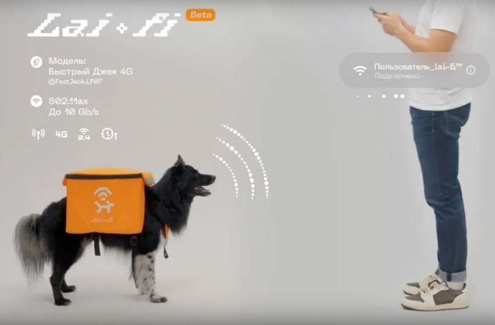 Cani randagi trasformati in hotspot: il progetto artistico che viola il benessere animale