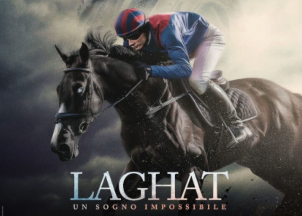 Laghat, un sogno impossibile: il cavallo cieco che ha sfidato la logica