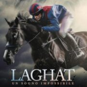 Laghat, un sogno impossibile: il cavallo cieco che ha sfidato la logica