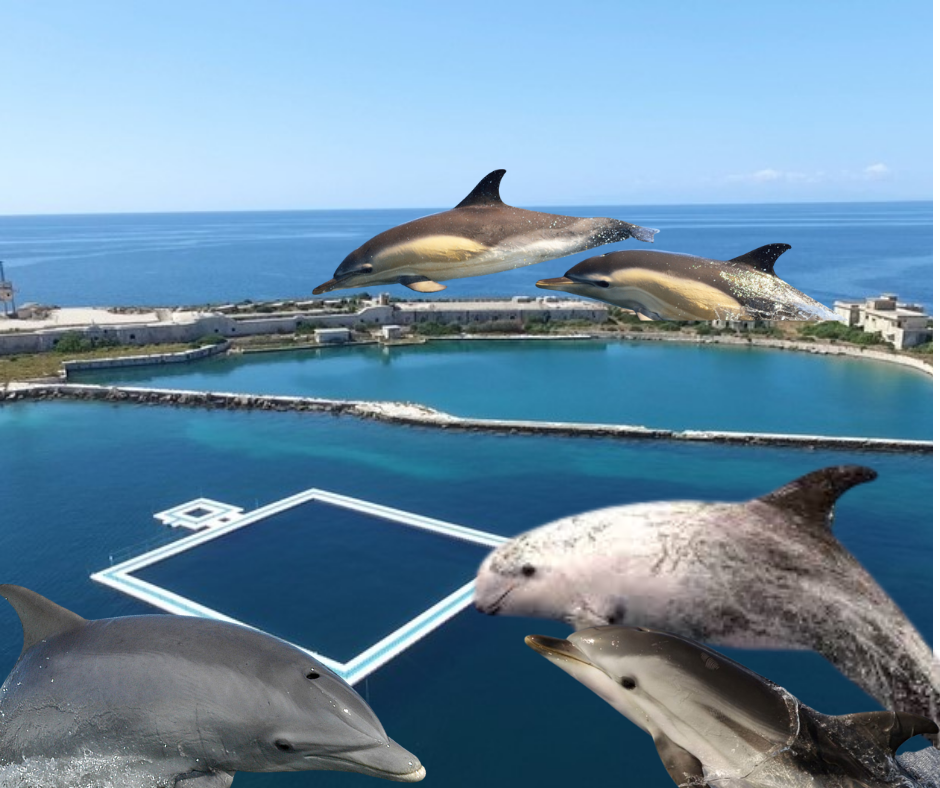 Apre in Puglia il primo centro riabilitativo dei cetacei detenuti in cattività