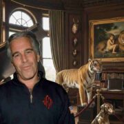 L’oscura estetica di Jeffrey Epstein: preferiva gli animali morti