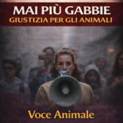 300 Husky in allevamento a Ponzano Romano: presidio davanti alla Procura di Rieti per sequestro immediato