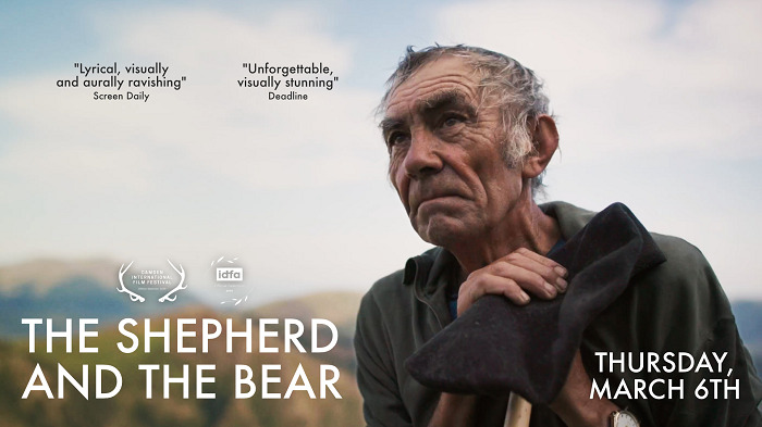 Il pastore e l’orso: docufilm sulla convivenza uomo e fauna selvatica