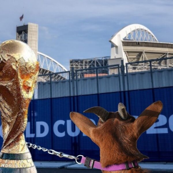 Mondiali 2026: l’etica sportiva non può prescindere dal benessere animale