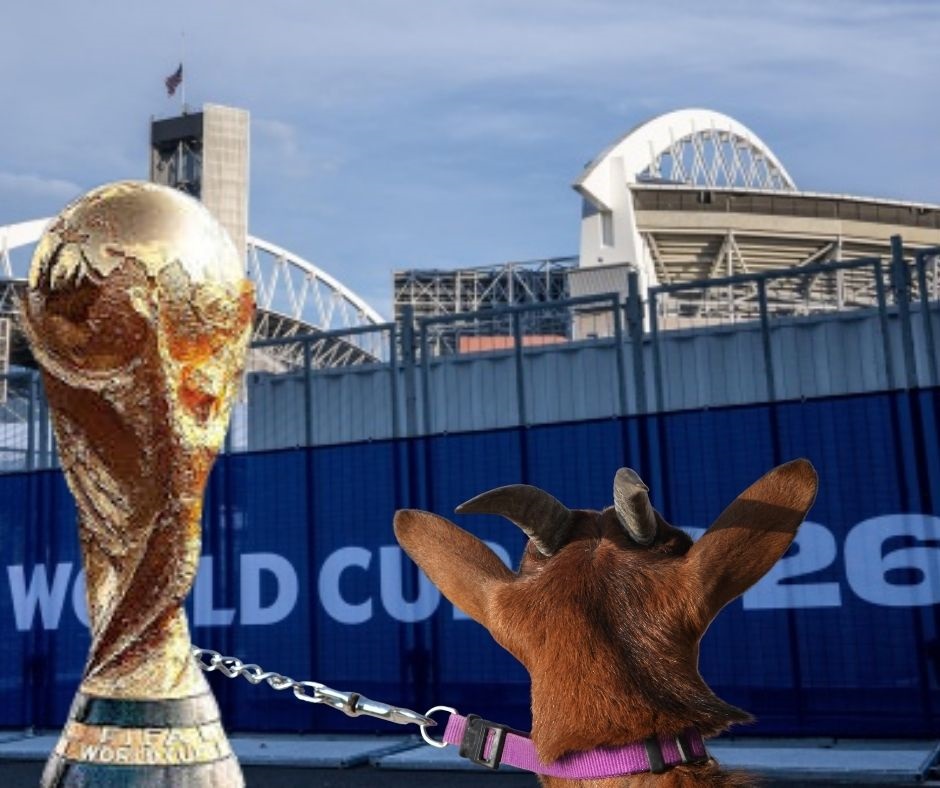 Mondiali 2026: l’etica sportiva non può prescindere dal benessere animale